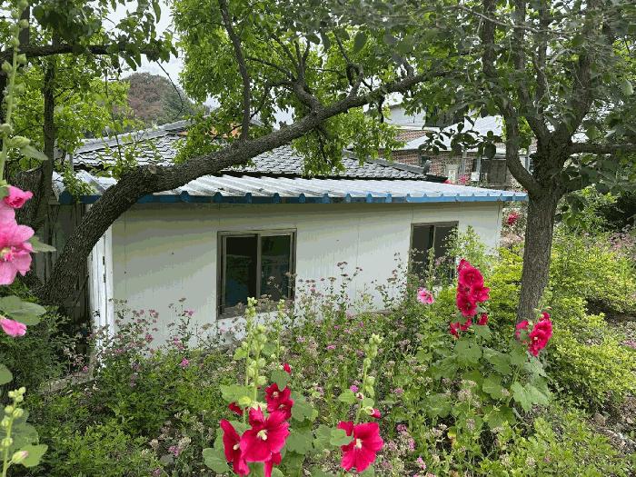 경상북도 영양군 석보면 택전리 817-2 주택 경매 사진 2