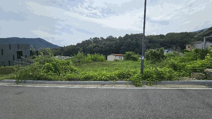 경상북도 김천시 어모면 도암리 1486 대지 경매 사진 3