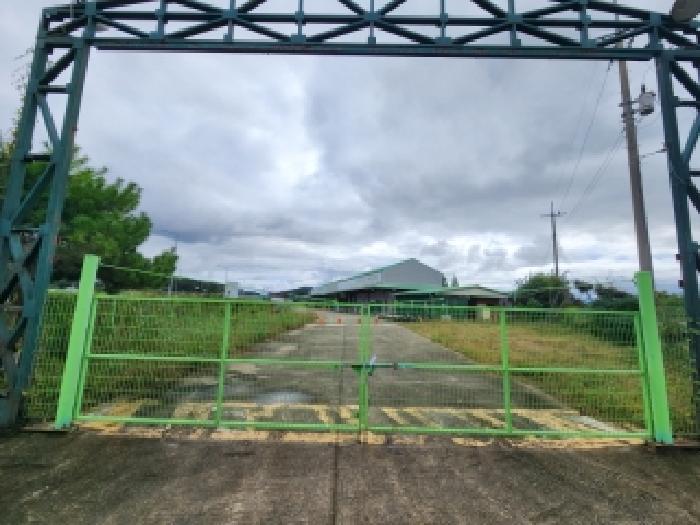 전라남도 나주시 다시면 월태리 417-15 답 경매 사진 9