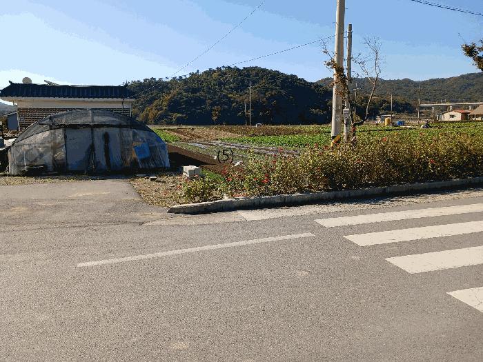 전라남도 장성군 북이면 달성리 561-13 답 경매 사진 6