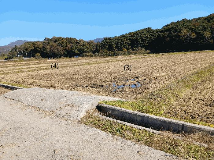 전라남도 장성군 북이면 달성리 560-14 답 경매 사진 5