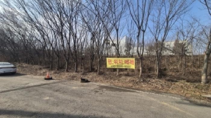 전라남도 나주시 부덕동 456 과수원 경매 사진 10