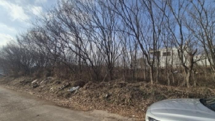 전라남도 나주시 부덕동 456 과수원 경매 사진 11