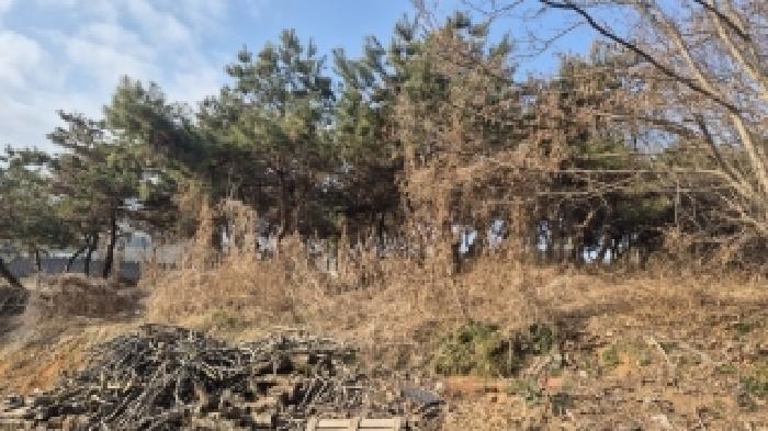 전라남도 나주시 부덕동 456 과수원 경매 사진 12