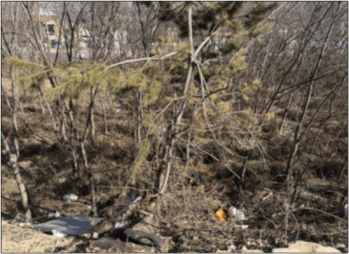 전라남도 나주시 부덕동 456 과수원 경매 사진 8