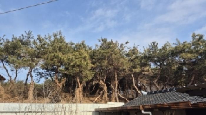 전라남도 나주시 부덕동 456 과수원 경매 사진 9
