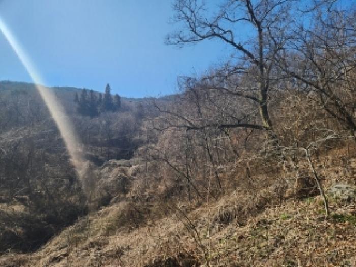 전라남도 담양군 월산면 중월리 217 답 경매 사진 10