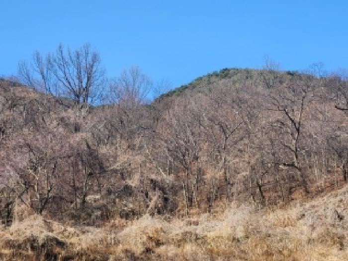 전라남도 담양군 월산면 중월리 217 답 경매 사진 11