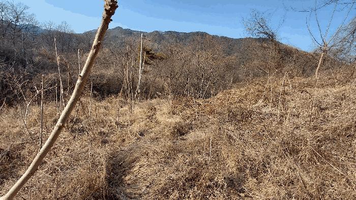 전라남도 담양군 월산면 중월리 217 답 경매 사진 3