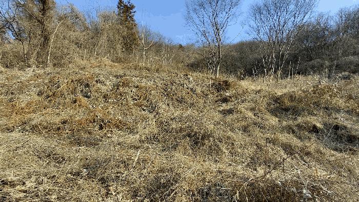 전라남도 담양군 월산면 중월리 217 답 경매 사진 6