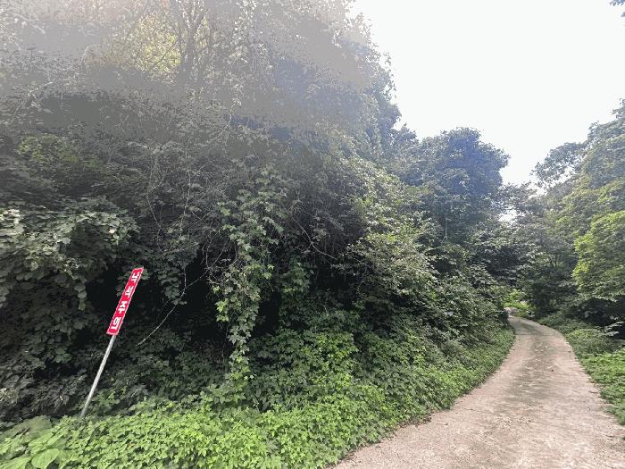 경상북도 영덕군 임야