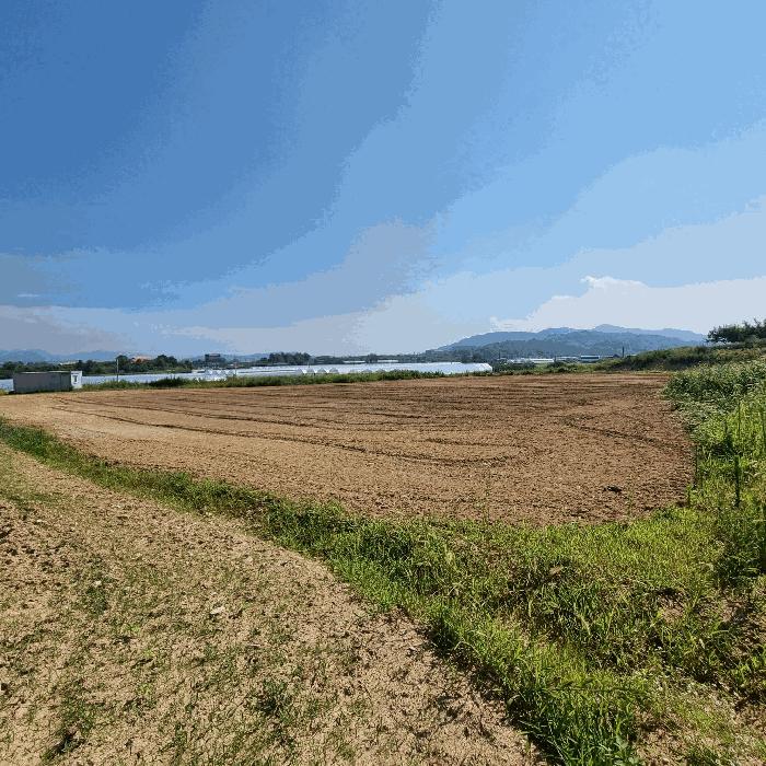경상북도 김천시 전