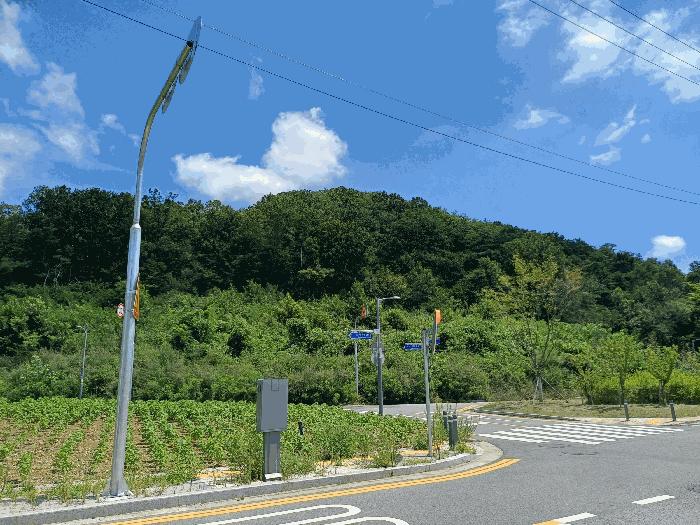 경상북도 구미시 거의동 산88-2 임야 경매 사진 2