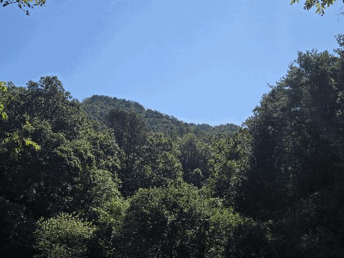강원특별자치도 홍천군 서면 중방대리 산16 임야 경매 사진 2