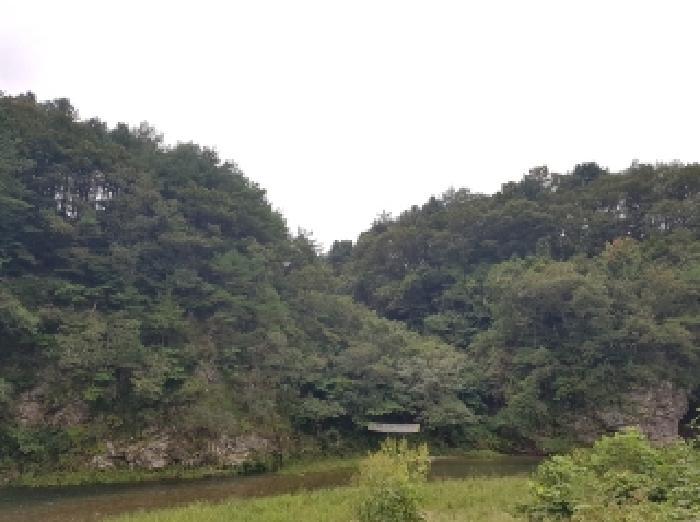 강원특별자치도 홍천군 서면 중방대리 산16 임야 경매 사진 3