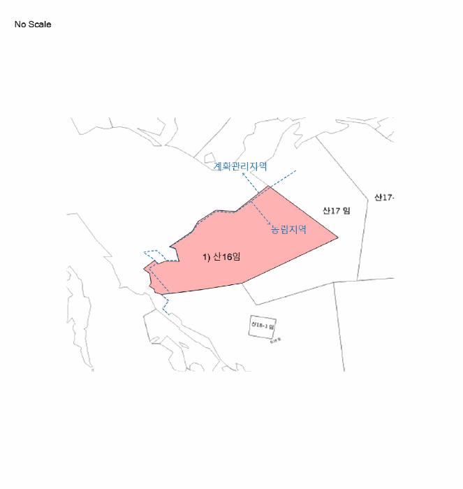 강원특별자치도 홍천군 서면 중방대리 산16 임야 경매 사진 6