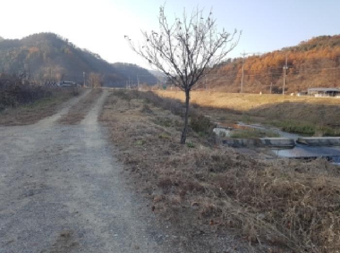 강원특별자치도 홍천군 북방면 역전평리 222-1 답 경매 사진 12