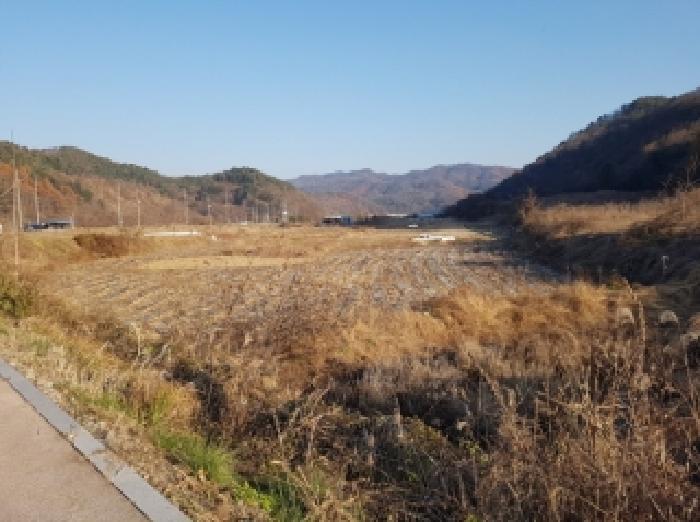 강원특별자치도 홍천군 북방면 역전평리 222-1 답 경매 사진 16