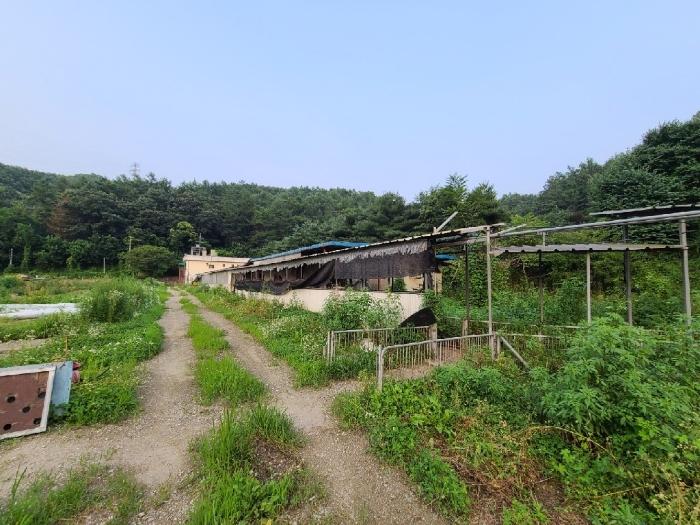 강원특별자치도 원주시 지정면 월송리 338-19 근린주택 경매 사진 17