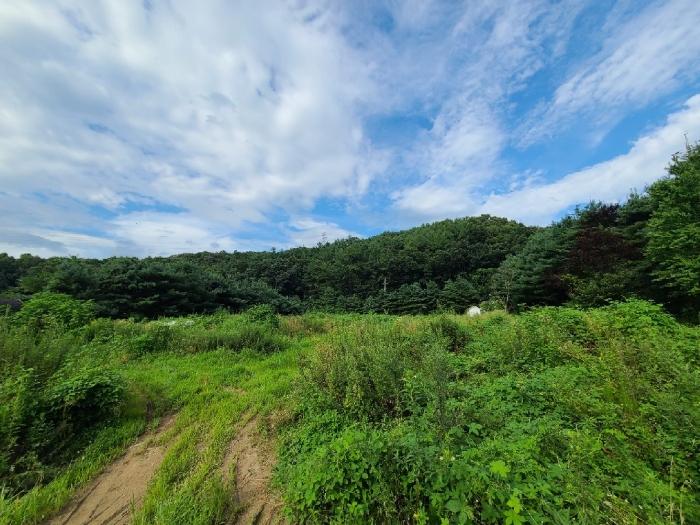 강원특별자치도 원주시 지정면 월송리 338-19 근린주택 경매 사진 19
