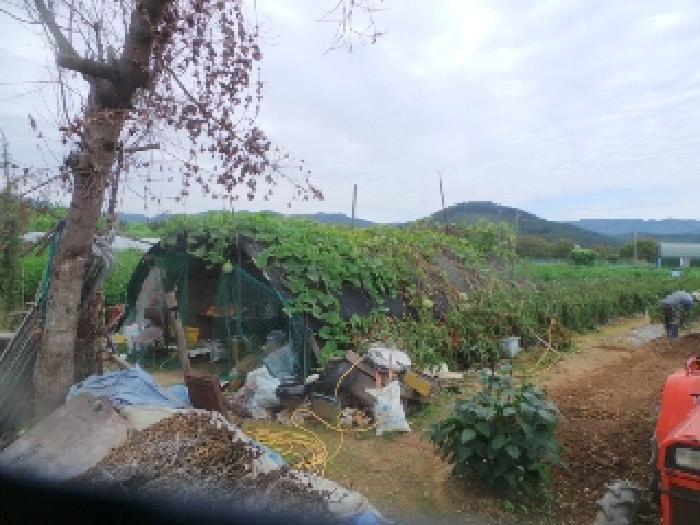 강원특별자치도 춘천시 서면 금산리 444-3 전 경매 사진 9
