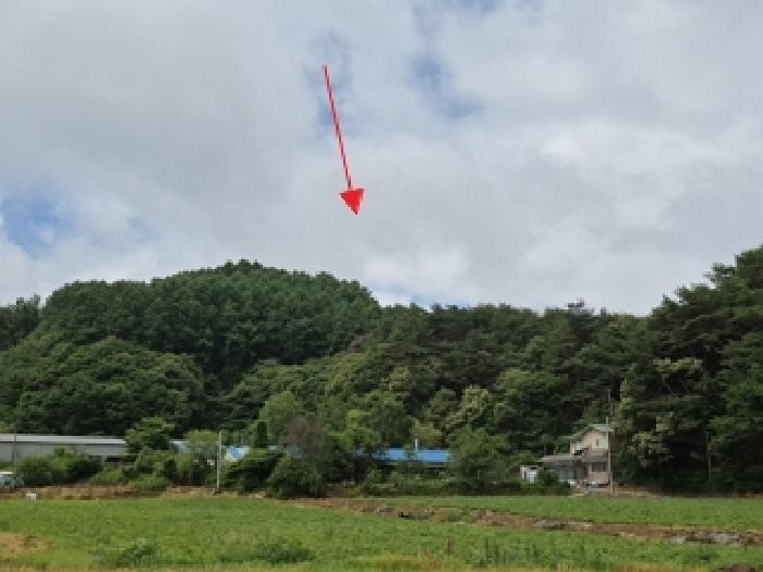 강원특별자치도 횡성군 안흥면 소사리 산216-1 임야 경매 사진 3