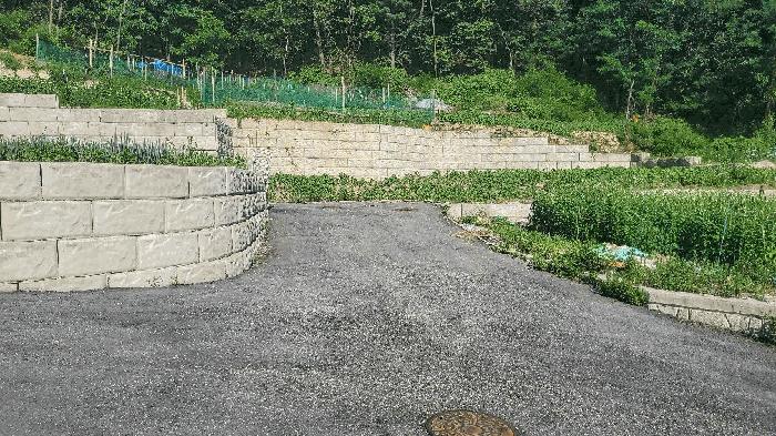 강원 원주시 임야