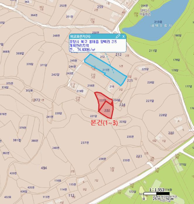 경상북도 포항시 북구 흥해읍 양백리 222 전 경매 사진 11