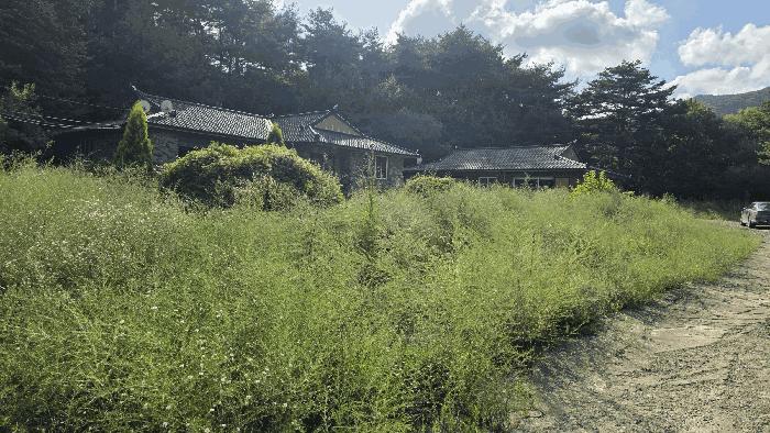 경상북도 포항시 북구 죽장면 상옥리 산190-5 주택 경매 사진 1