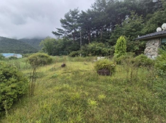 경상북도 포항시 북구 죽장면 상옥리 산190-5 주택 경매 사진 14