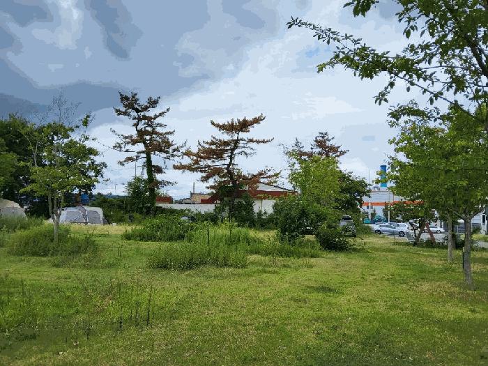 경상북도 포항시 남구 청림동 1-323 근린시설 경매 사진 18