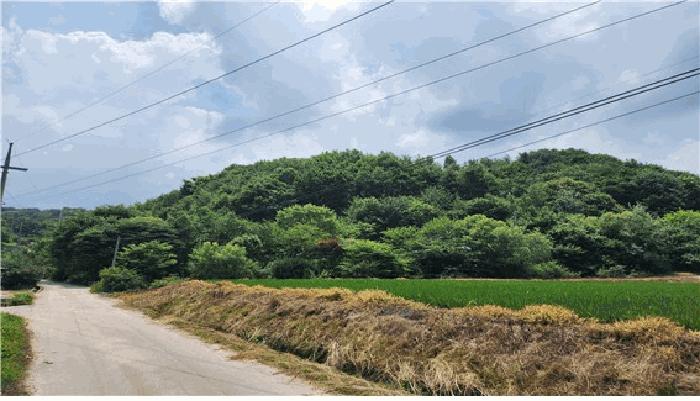 강원특별자치도 횡성군 안흥면 소사리 1415-2 임야 경매 사진 10