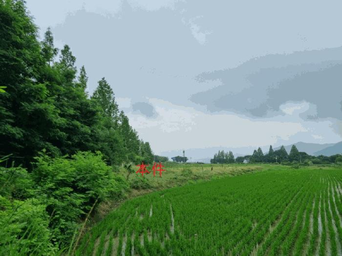 강원 원주시 답