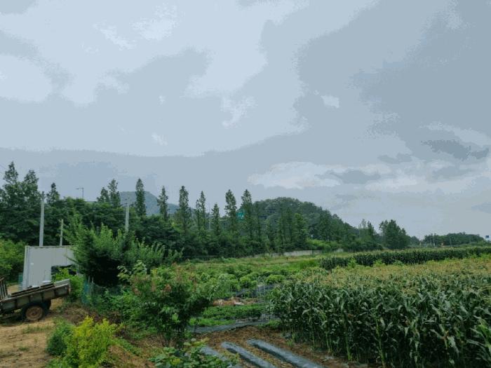 강원특별자치도 원주시 문막읍 문막리 674-2 답 경매 사진 2