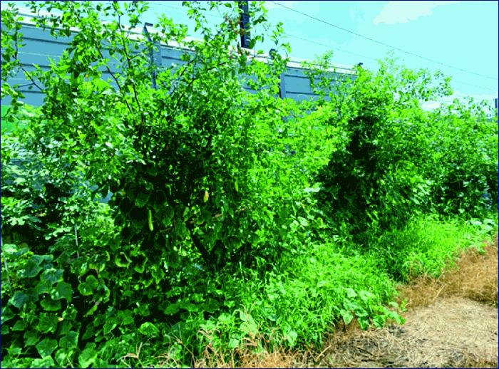 충청남도 논산시 부창동 371 전 경매 사진 4