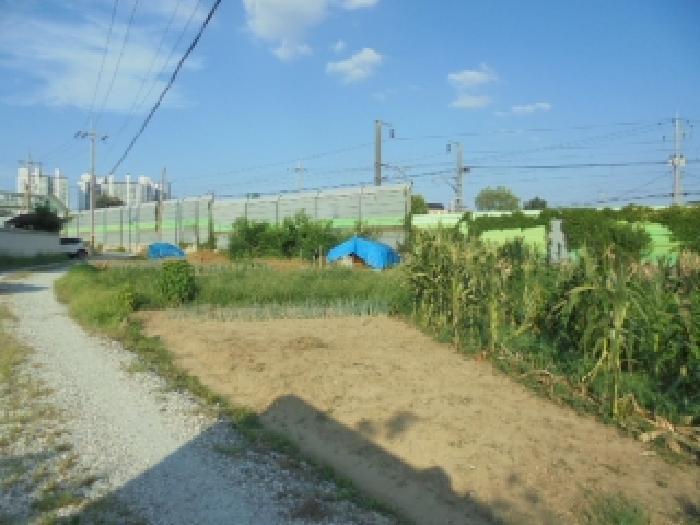 충청남도 논산시 부창동 371 전 경매 사진 5