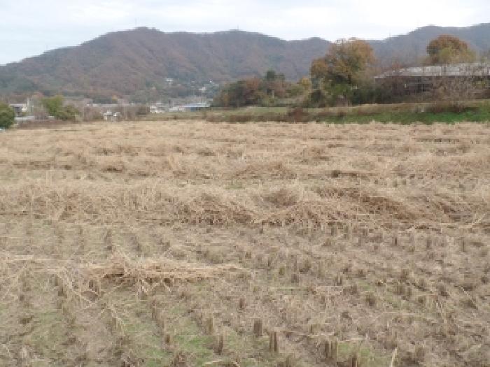 충청남도 논산시 연산면 신암리 87-9 답 경매 사진 3