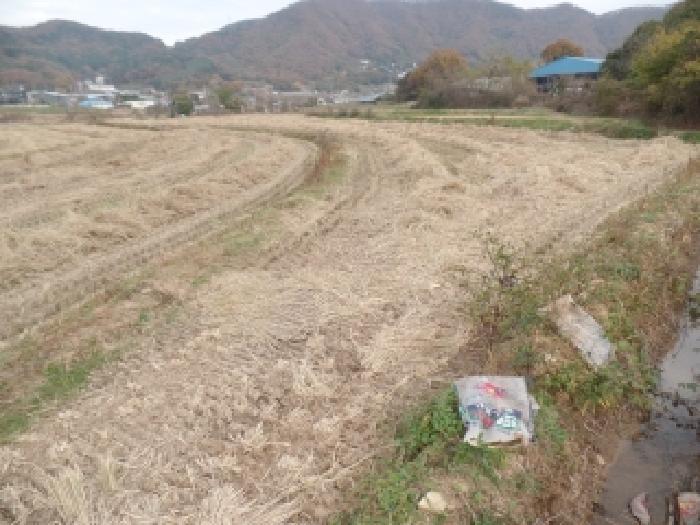 충청남도 논산시 연산면 신암리 87-9 답 경매 사진 4