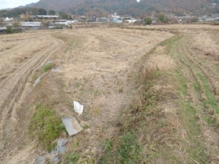 충청남도 논산시 연산면 신암리 87-9 답 경매 사진 5