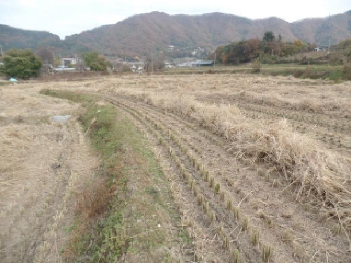 충청남도 논산시 연산면 신암리 87-9 답 경매 사진 6