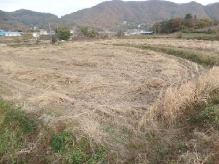 충청남도 논산시 연산면 신암리 87-9 답 경매 사진 7