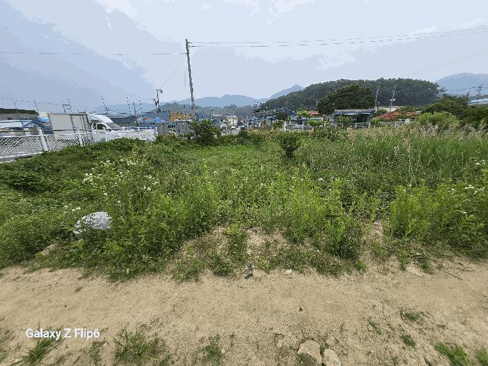 충청남도 논산시 연산면 연산리 365 답 경매 사진 2