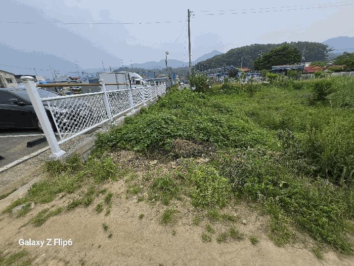 충청남도 논산시 연산면 연산리 365 답 경매 사진 3