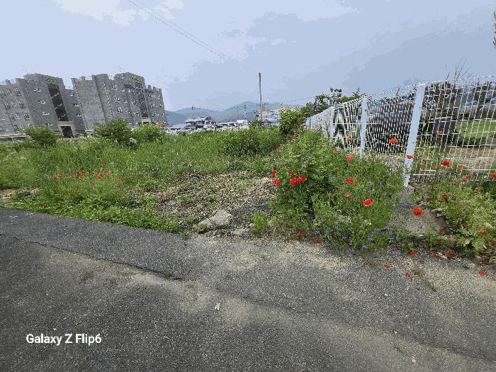 충청남도 논산시 연산면 연산리 365 답 경매 사진 5
