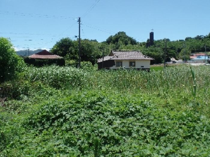 충청남도 논산시 연산면 연산리 365 답 경매 사진 7