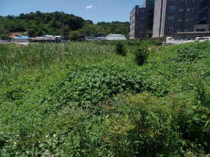 충청남도 논산시 연산면 연산리 365 답 경매 사진 8