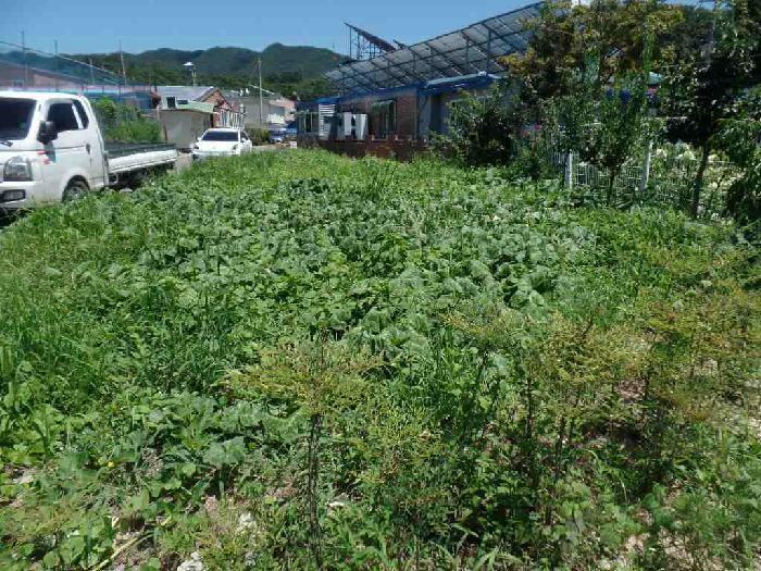 충청남도 논산시 연산면 연산리 365 답 경매 사진 9