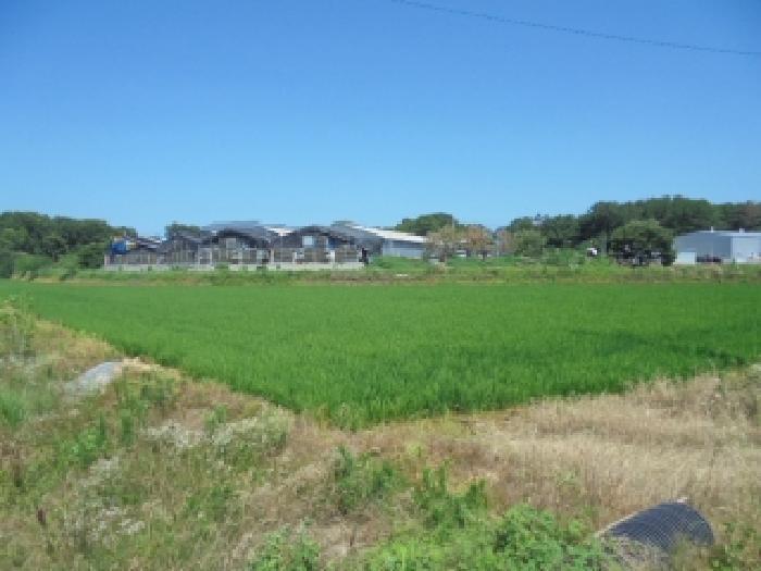충청남도 논산시 성동면 원북리 676-2 답 경매 사진 14