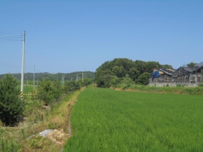 충청남도 논산시 성동면 원북리 676-2 답 경매 사진 15