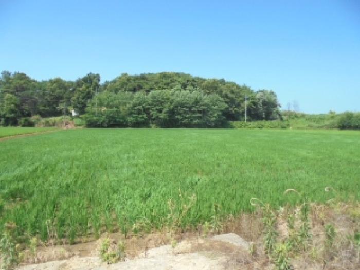 충청남도 논산시 성동면 원북리 676-2 답 경매 사진 16